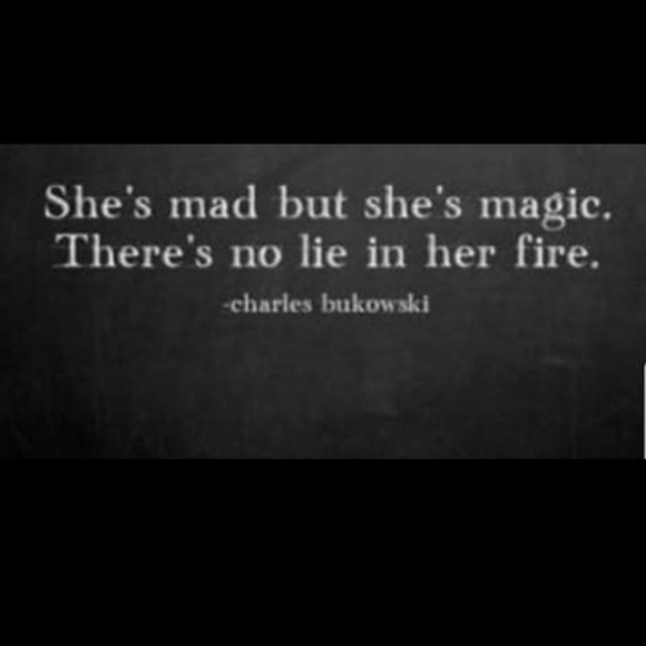 Meet your Posher, Harley - Picture 2 of 12